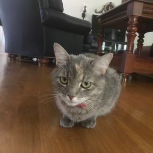 Meet your Posher, Scott